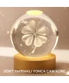 Bitki Temalı Led Işıklı Cam Küre Ahşap Standlı Modern Gece Lambası