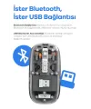 Bluetooth USB Çift Modlu Sessiz Mouse, Şeffaf Mıknatıslı Kapaklı, TypeC Şarjlı, DPI Ayarlı, Kablosuz 10m Çekim Mesafeli, Masaüstü Kısayol Tuşlu, Taşınabilir Şarjlı Mouse Turuncu