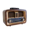 Bluetooth Usb/Sd/Aux/Fm Nostalji Radyo RT-876