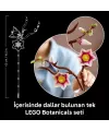 Botanicals Manolya Dalları 11510