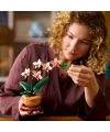 Botanicals Mini Orkide 10343