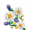 Botanicals Papatyalar 11508