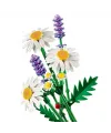 Botanicals Papatyalar 11508