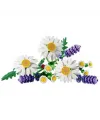 Botanicals Papatyalar 11508