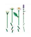 Botanicals Papatyalar 11508