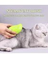 Buharlı Kedi Tarağı