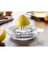 Cam Limon Sıkacağı