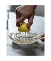 Cam Limon Sıkacağı