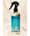 Çankaya 400 Ml Oda Kokusu Bahar