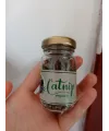 Catnip Doğal Kedi Otu - Kedi Nanesi