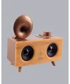 Çift Hoparlörlü Retro Bluetooth Speaker 1800mah Bataryalı Aux Usb Sd Kartlı