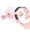 Cilt Bakım Fırçası ve Maske Spatulası