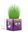 Çim Adam Mini Küp Emoji Figürlü 1 Adet