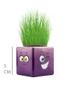 Çim Adam Mini Küp Emoji Figürlü 1 Adet