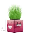 Çim Adam Mini Küp Emoji Figürlü 1 Adet