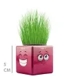 Çim Adam Mini Küp Emoji Figürlü 1 Adet