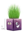 Çim Adam Mini Küp Emoji Figürlü 1 Adet