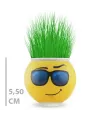 Çim Adam Saksı Emoji Figürlü 1 Adet