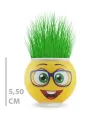 Çim Adam Saksı Emoji Figürlü 1 Adet