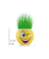 Çim Adam Saksı Emoji Figürlü 1 Adet