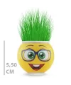 Çim Adam Saksı Emoji Figürlü 1 Adet