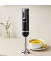 Çubuk Blender 300W Çelik Uçlu