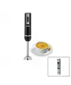 Çubuk Blender 300W Çelik Uçlu
