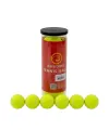 Dayanıklı Tenis Topu 6’lı Set Yüksek Zıplama Ve Uzun Ömür