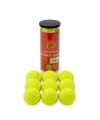 Dayanıklı Tenis Topu 9’lu Set Yüksek Performans Ve Dengeli Zıplama