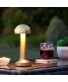 Dekoratif Led Masa Lambası MZ-327