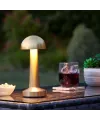 Dekoratif Led Masa Lambası Mz-327