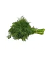Dere Otu Tohumu 10 Gr