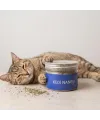 Doğal Kedi Nanesi (Catnip) - 250 ml Kavanoz - Eğlenceli ve Doğal