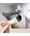 DONDURMA ŞEKLİNDE KEDİ NANESİ KEDİ OTU