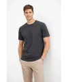 Erkek Bisiklet Yaka Tişört Regular Kalıp Basic Pamuklu Günlük Kullanım T-shirt - Füme
