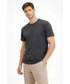 Erkek Bisiklet Yaka Tişört Regular Kalıp Basic Pamuklu Günlük Kullanım T-shirt - Füme