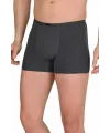 Erkek Modal Boxer Short Füme 4488B