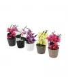 Evidecor ( Orkide ) Yapay Çiçek ( Plastik Saksı )*30=k