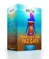 Fantastik 4 Lü Yaz Çayı 45 Li.