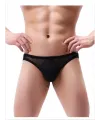 Fantezi Arkası Açık Seksi File Erkek Kilot ( PEDSİZ ) TG2710130