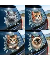 Fulcar Kedi Tasarımlı Araç Stickerı