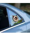 Fulcar Siamesse Araç Stickerı