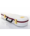 Gitar Müzik Kutusu IEG1104
