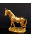 Gold Renk At Biblosu