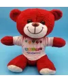 Happy Birthday Tişörtlü Peluş Kırmızı Ayıcık