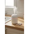 Hava Nemlendirici Buhar Makinesi 220ml Kapasiteli Uygun Boyutlu Ev Ve Ofis Kullanımı