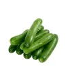 Hıyar Tohumu 20 Gr
