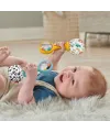 HMF34 Fisher-Price Neşeli Marakas