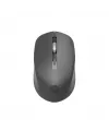 Hp S1000 Siyah Wireless Plus Mouse