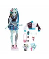 HPD53 Monster High Ana Karakter Bebekler